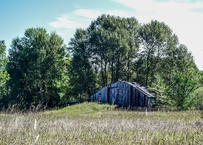 A Quiet Place