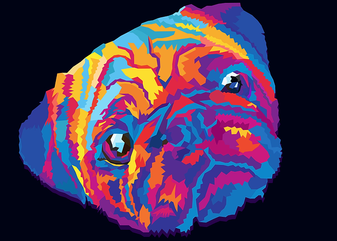 pop art pug