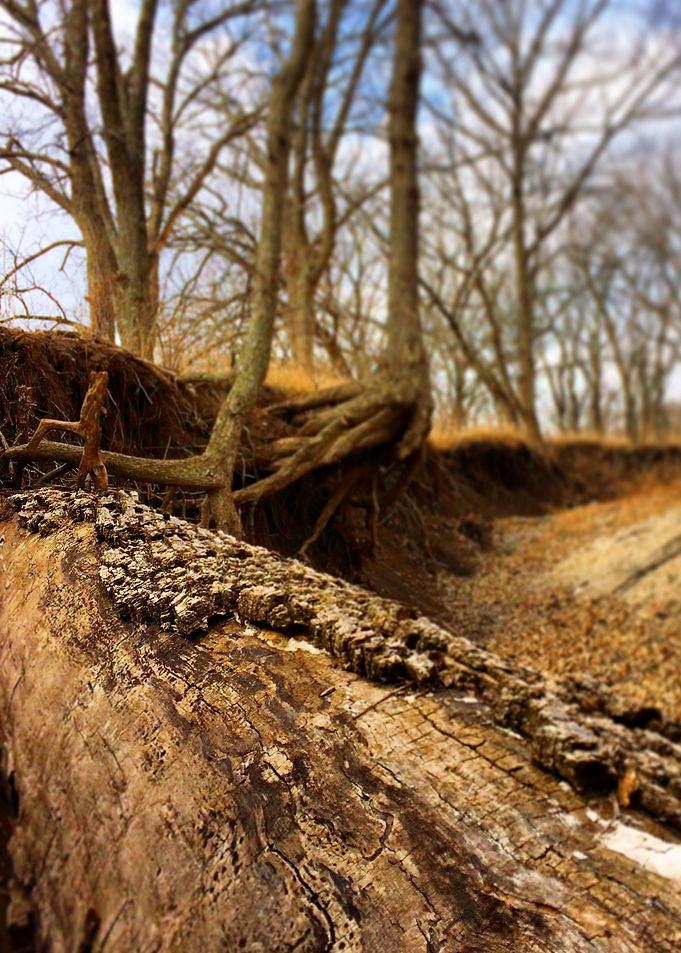 Riverbed 2