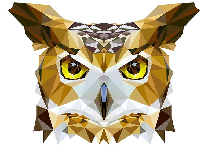 pollygon owl