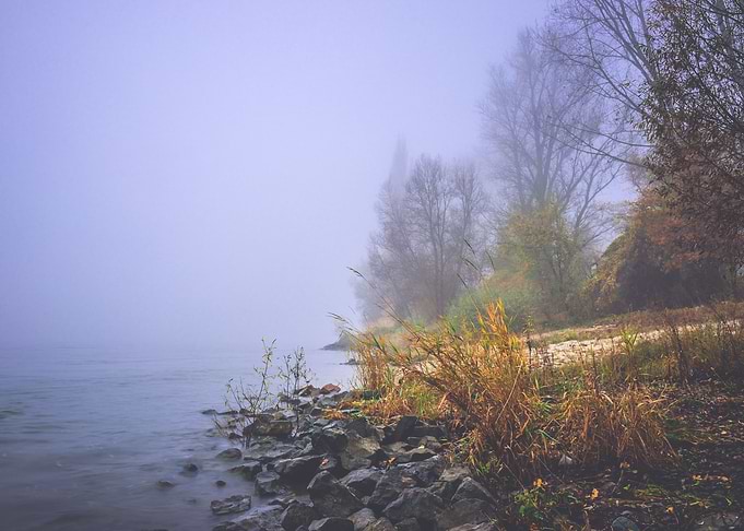 Foggy Morning