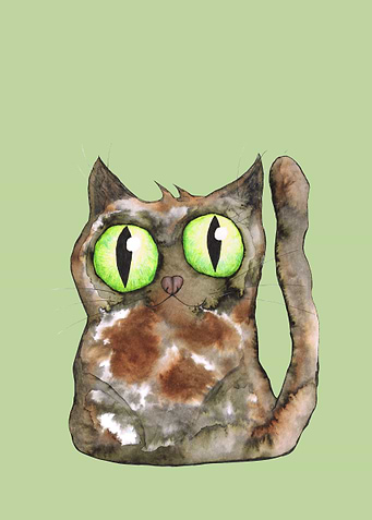 Tortoiseshell cat