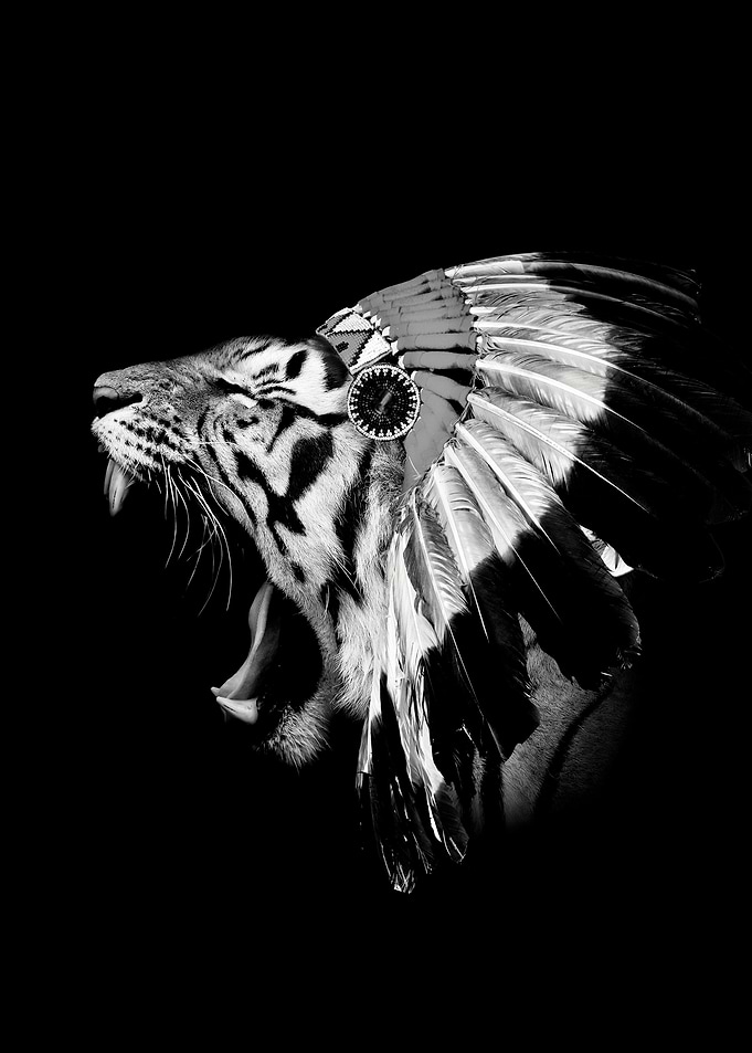 Native AMERICAN Tiger