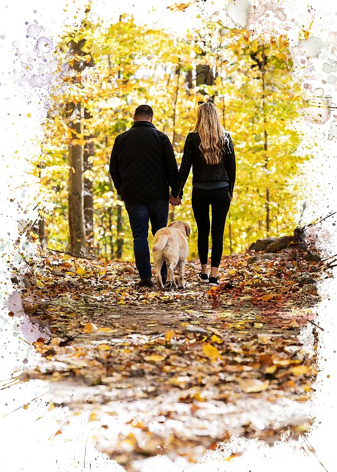 A Walk in the Woods