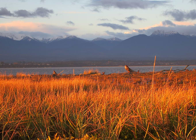 Olympic Mountains in Fall