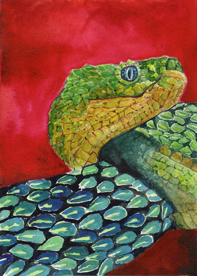 Snake