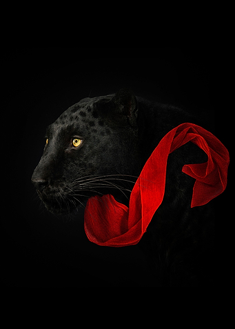 Black Panther