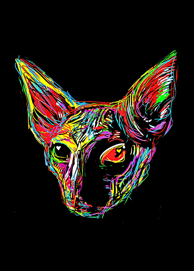Sphynx cat Love