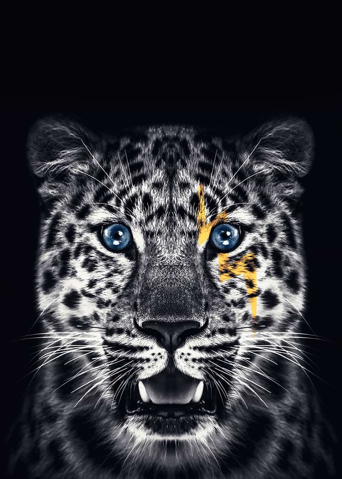 JAGUAR