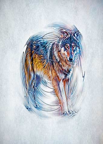 Timber Wolf