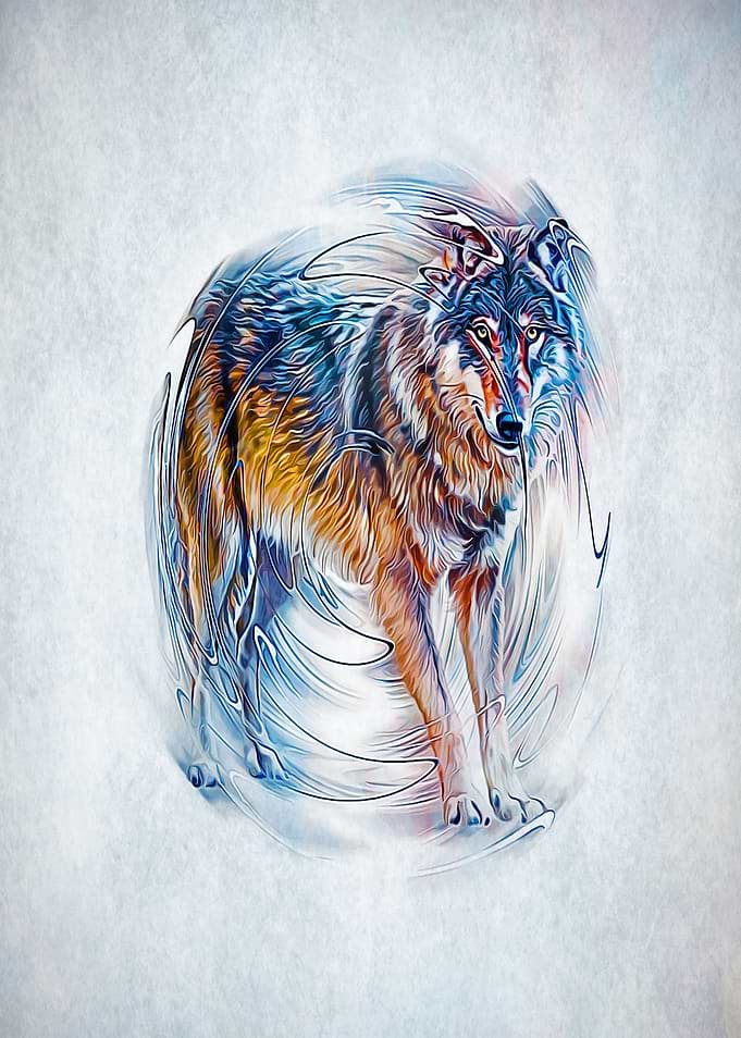 Timber Wolf