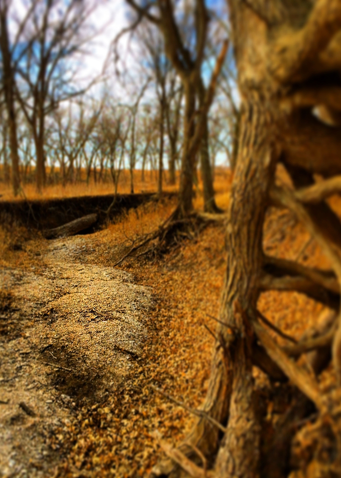 Riverbed