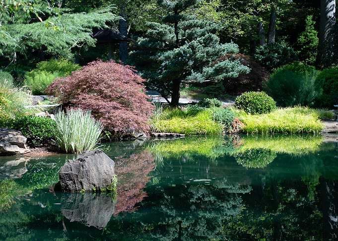 Reflection