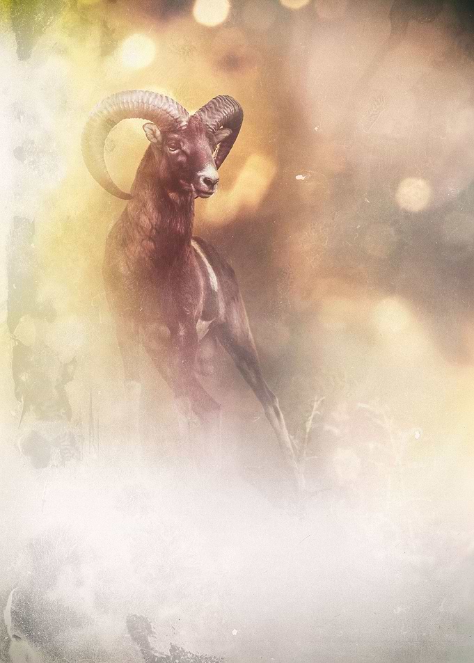 Autumn horns