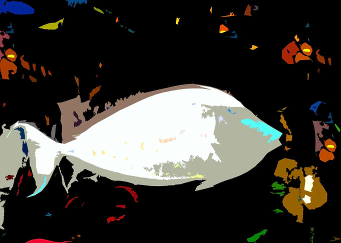 White fish