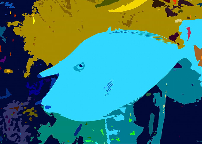 Nose fish