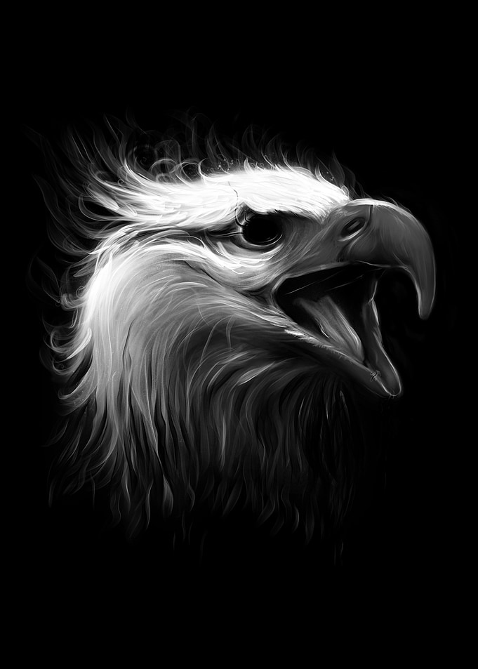 Eagle Eye