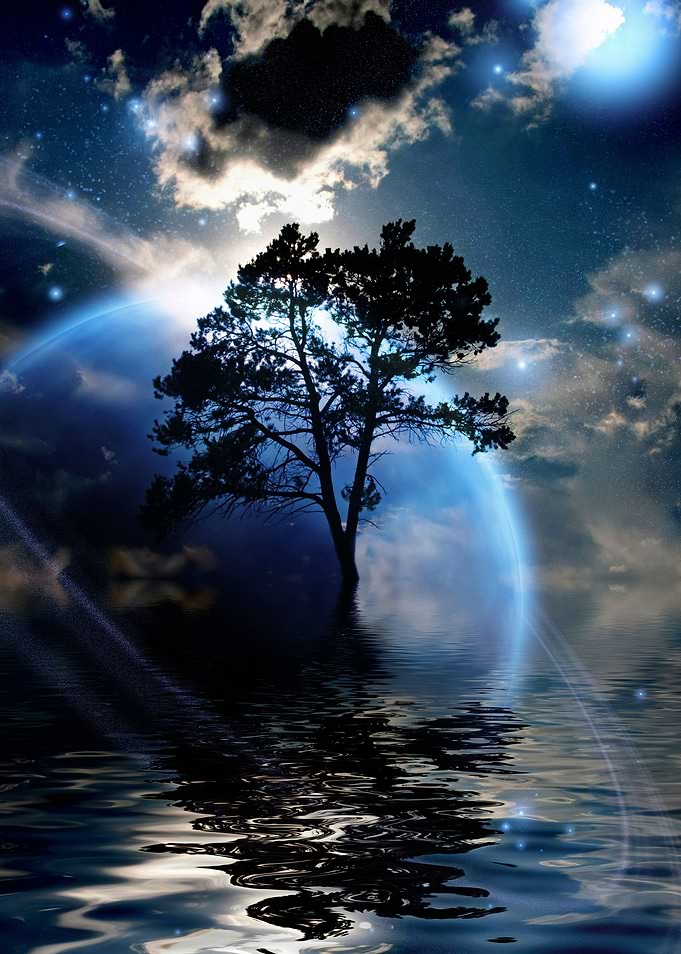 Exosolar planet tree