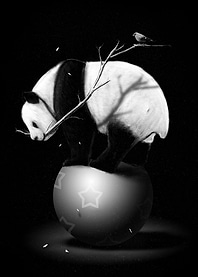 Balance BB