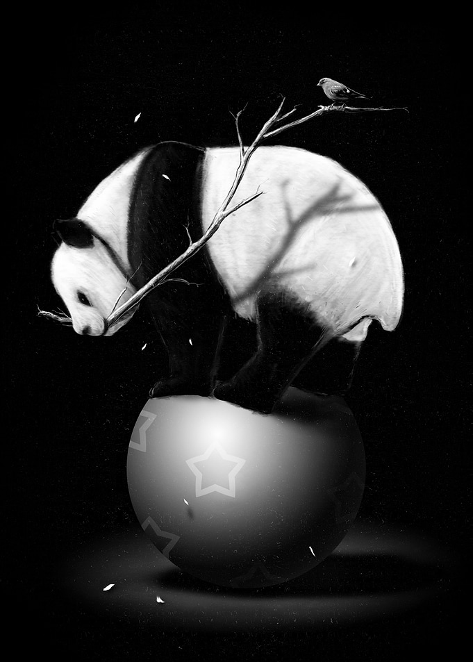 Balance BB