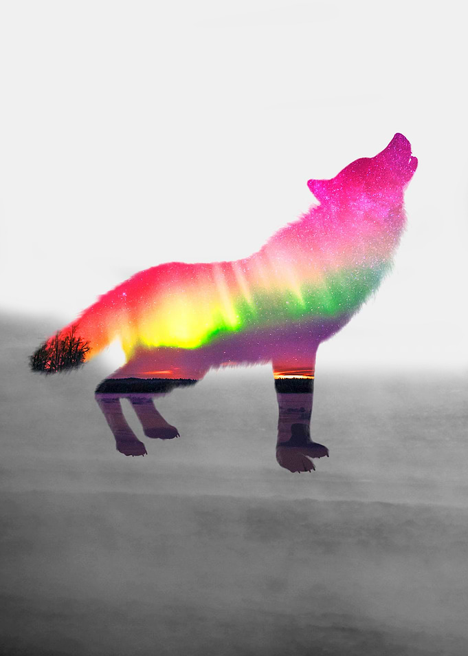 wolf nature