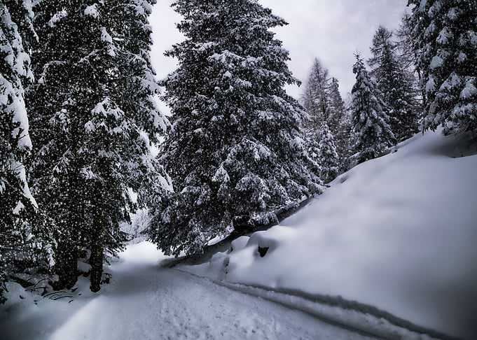 Bavarian Winters Tale X