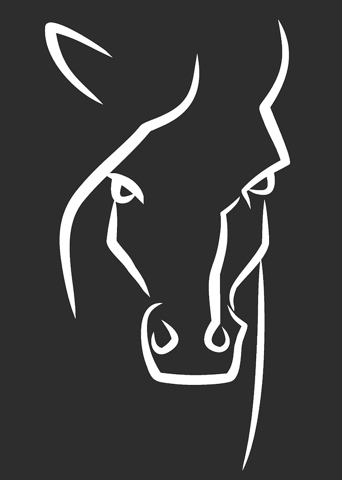 horse