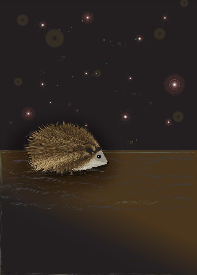 Hedgehog lost in space