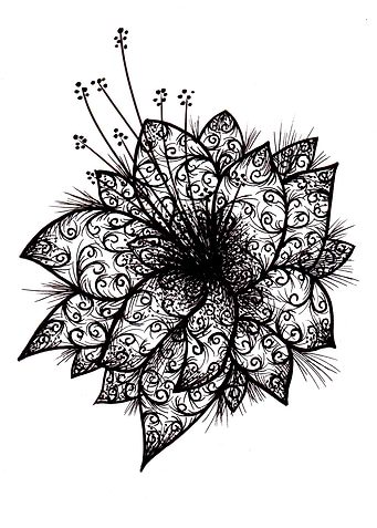 Orchid Lineart Design