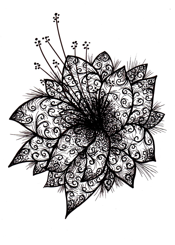 Orchid Lineart Design