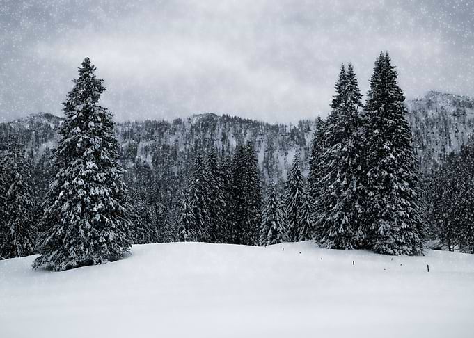 Bavarian Winters Tale IV