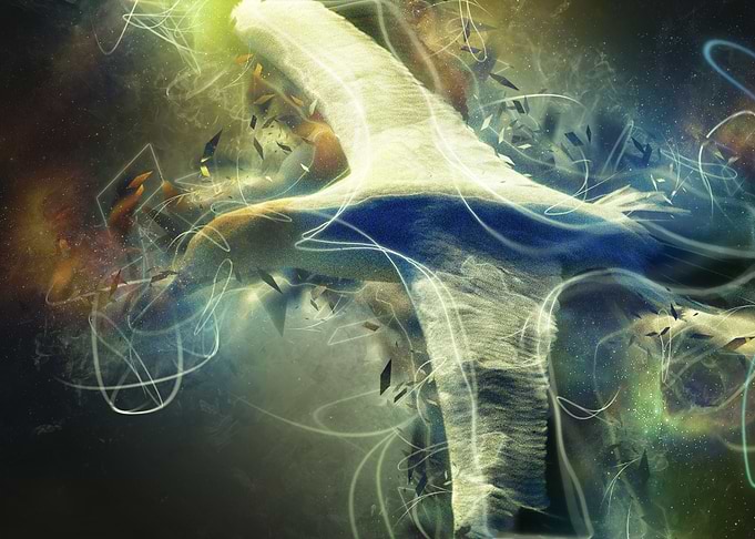Gannet