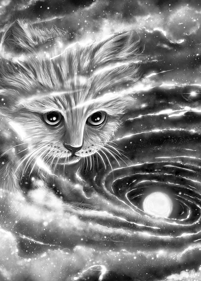 The Visitor