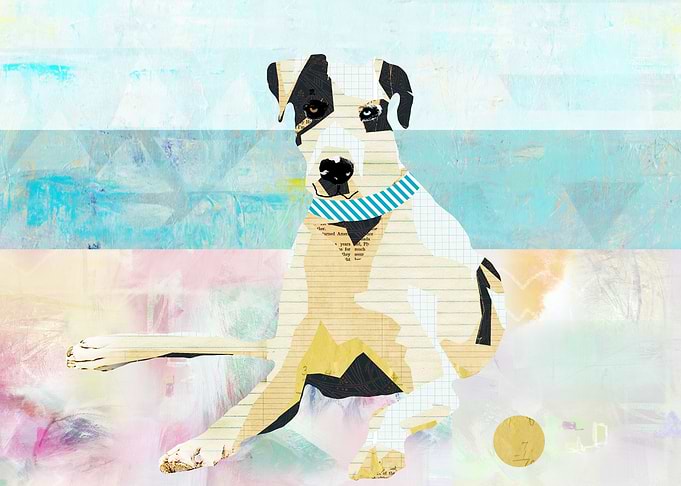 Dog at the beach