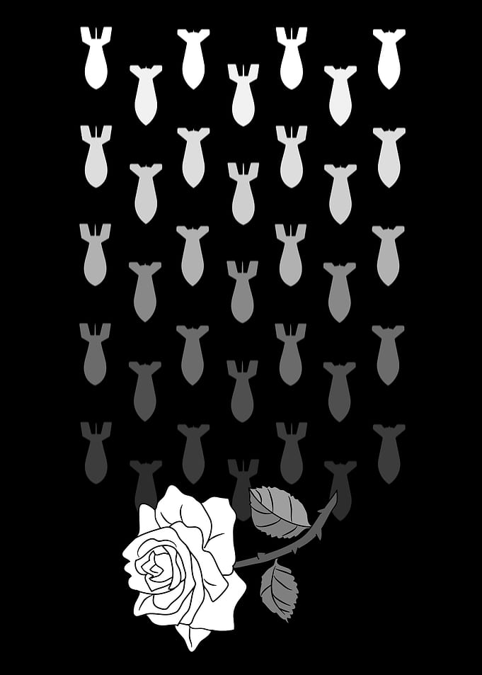 Falling Bombs White Rose