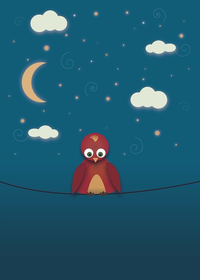 Bird on a string
