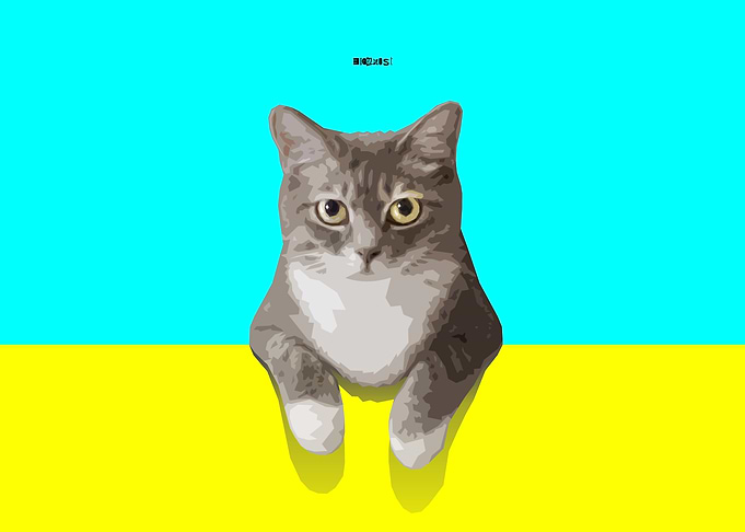 Cute Cat
