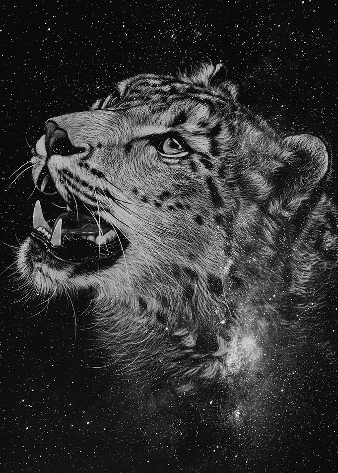 Leopard Black&White