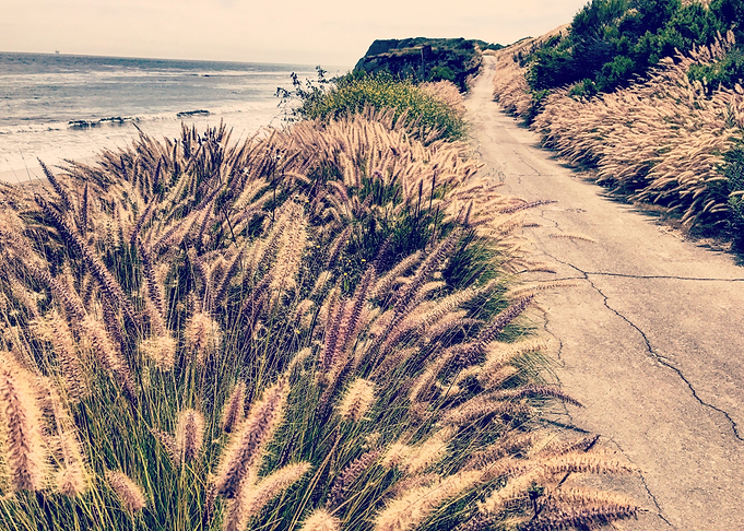 Refugio Trails