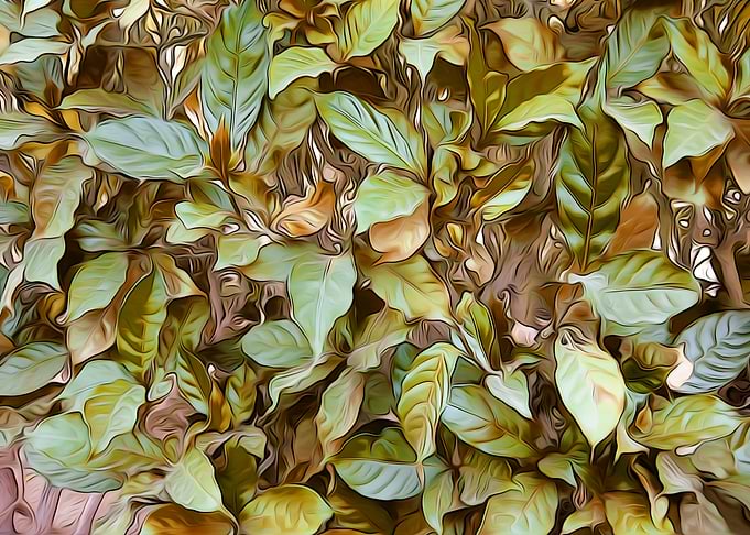 Garden Leaves