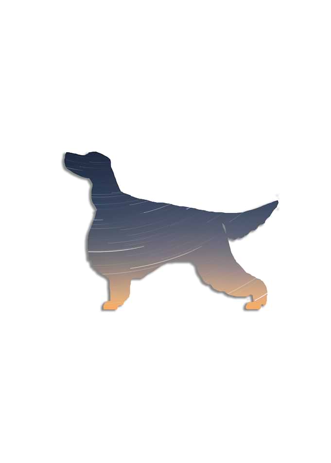 Gorson Setter