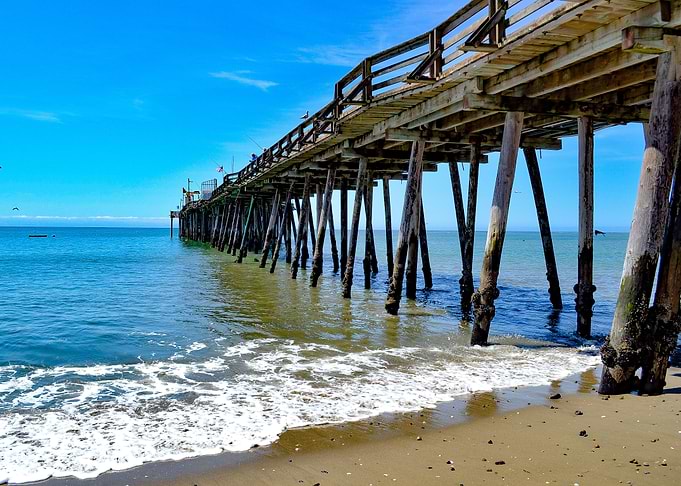 Ocean Bliss