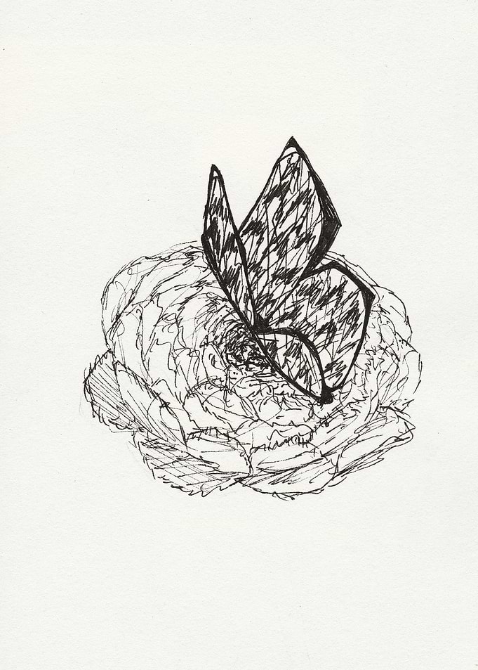 Peony