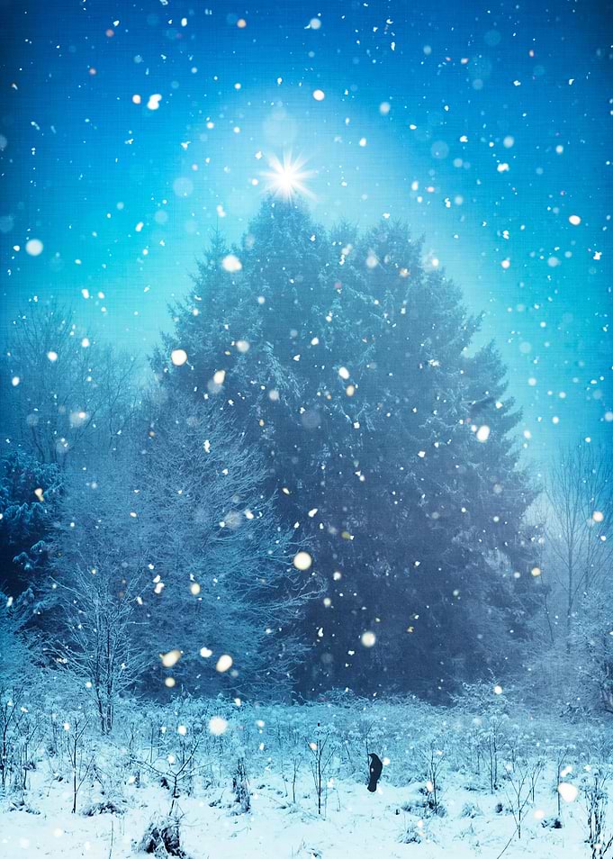 Winter Magic
