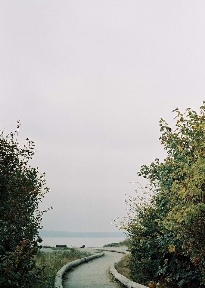 Golden Gardens