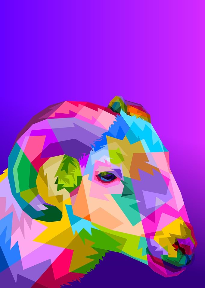 sheep on pop art