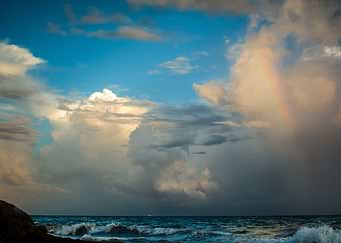 Wild nature series