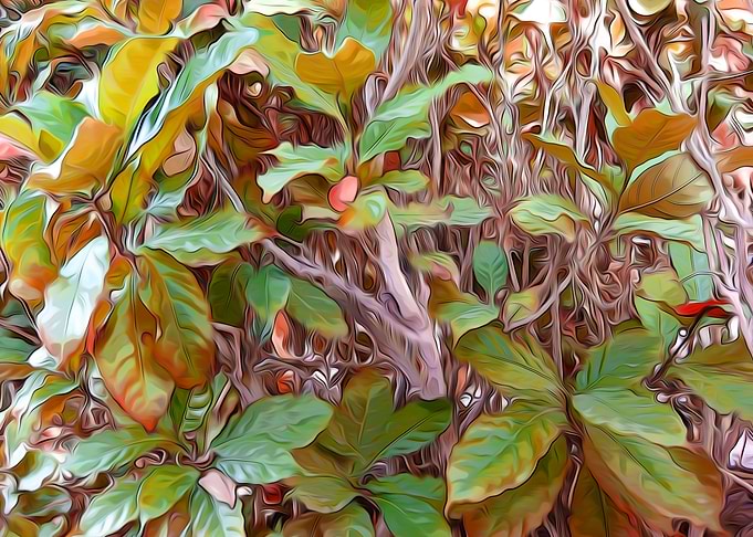 New Autumn Leaves