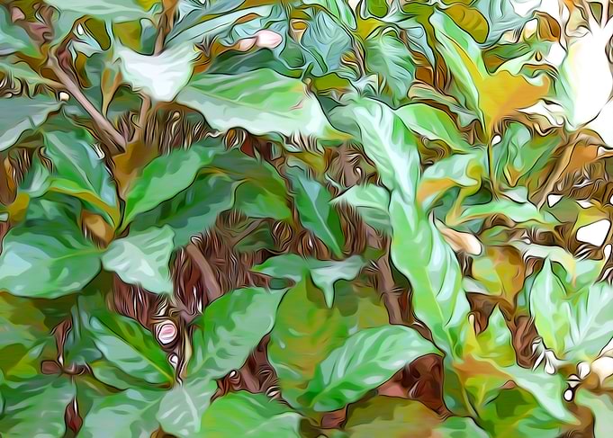 Green Leaves