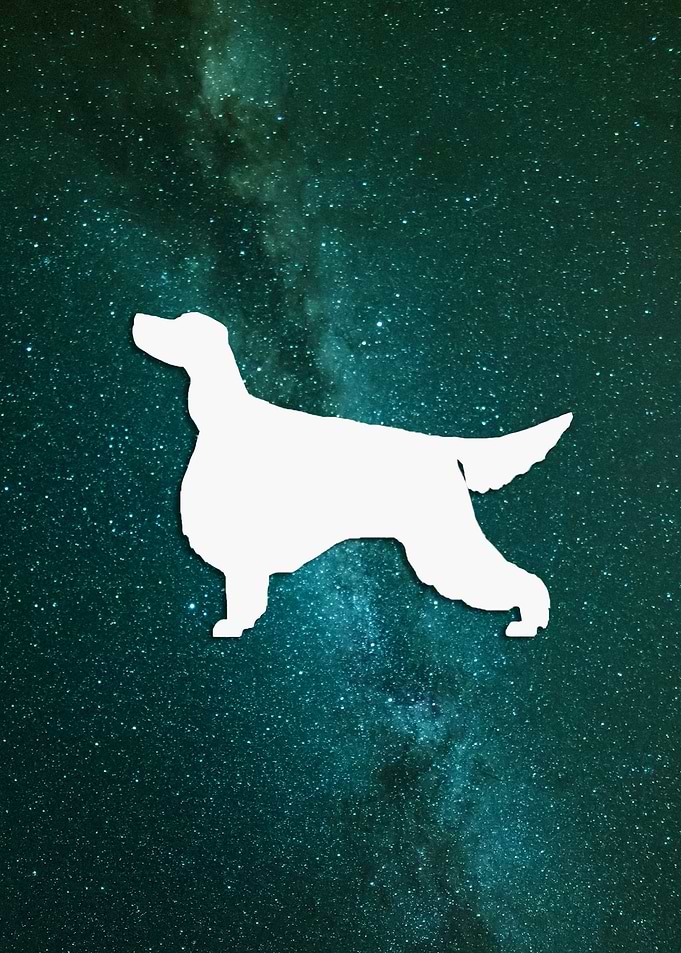 Gorson Setter